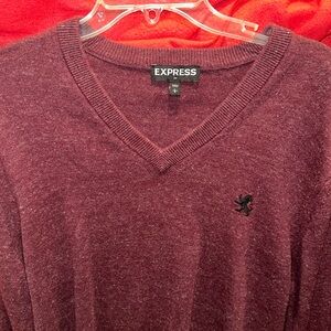 Express V neck men’s sweater